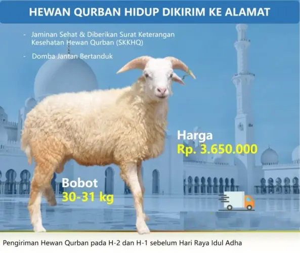 Kurban - Qurban Domba  di Indonesia
