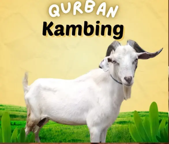 Kurban - Qurban Kambing  di Indonesia