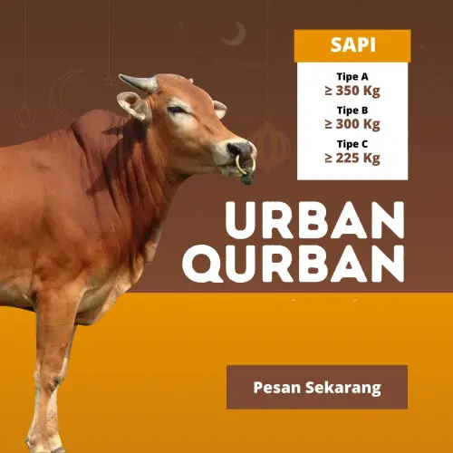Kurban - Qurban Sapi  di Indonesia